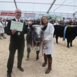 Truro Primestock show cattle prize winner
